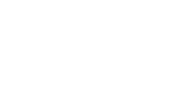 Logo icon white